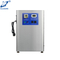 Generador de ozono de enfriamiento de aire de alto rendimiento para lavandería 40 G