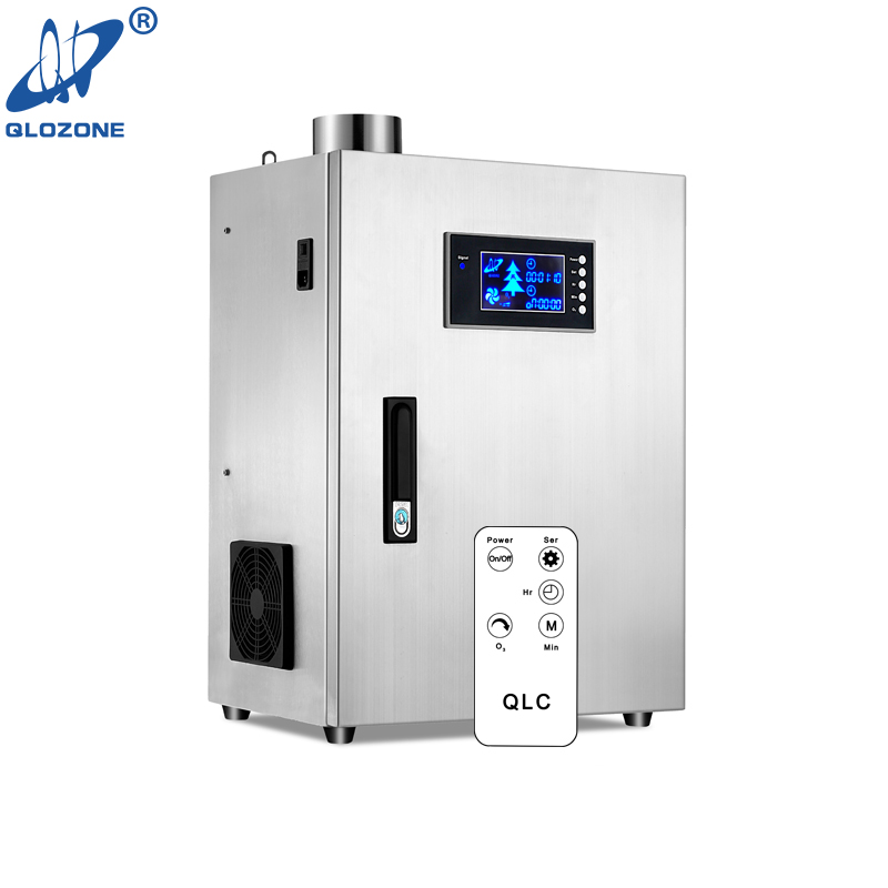 Generador de ozono de cocina comercial en venta 100 G